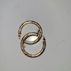 Elegant Gold and Silver Hoop Earrings